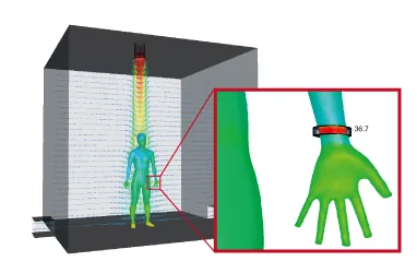 Human body thermoregulation-model illustration